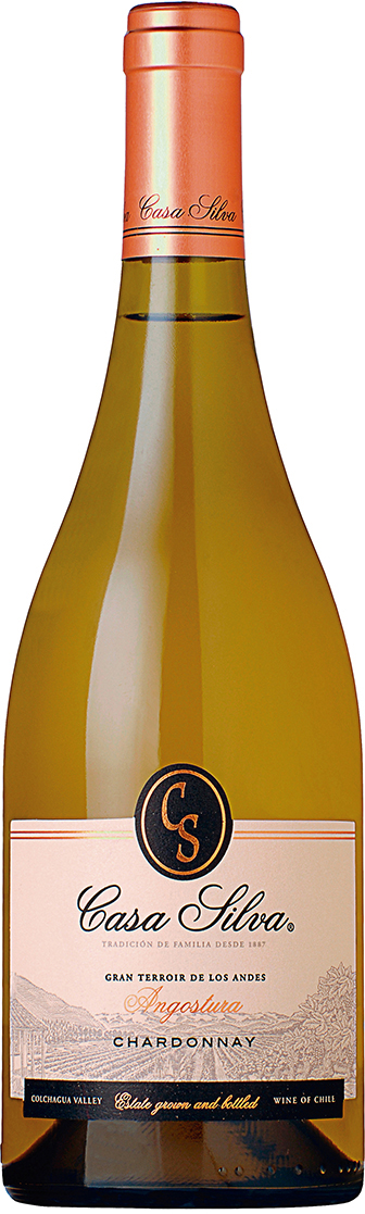 Casa Silva Chardonnay | Gran Terroir de los Andes | Angostura