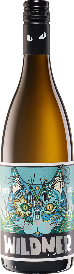 Wildner Sauvignon Blanc | Trocken