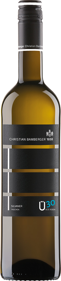 Bamberger "Ü30" Silvaner | Alte Reben Trocken