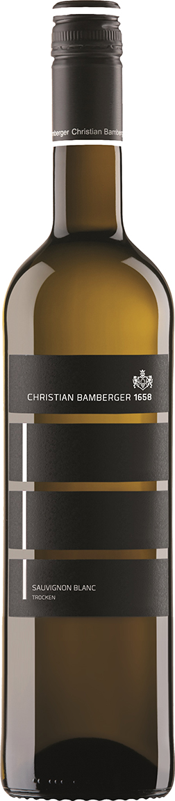 Bamberger Sauvignon Blanc | Trocken
