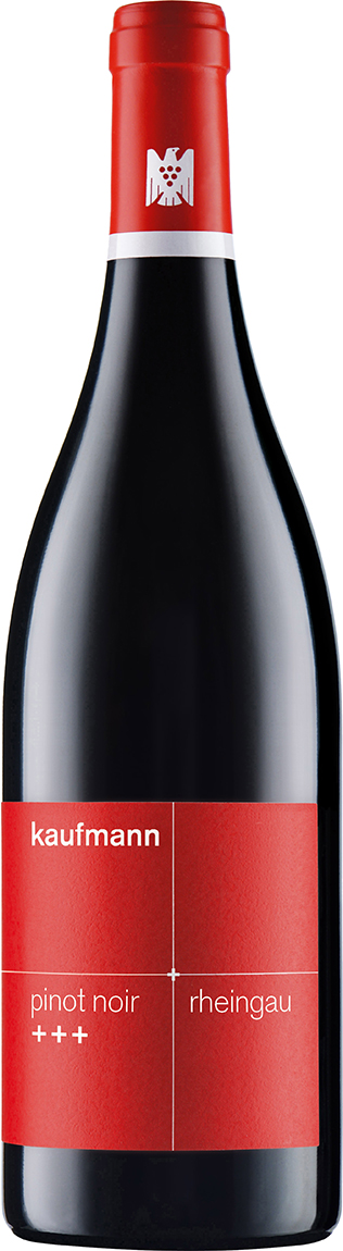 Kaufmann Pinot Noir | Barrique Trocken | Bio (ABCERT:DE-ÖKO-006)