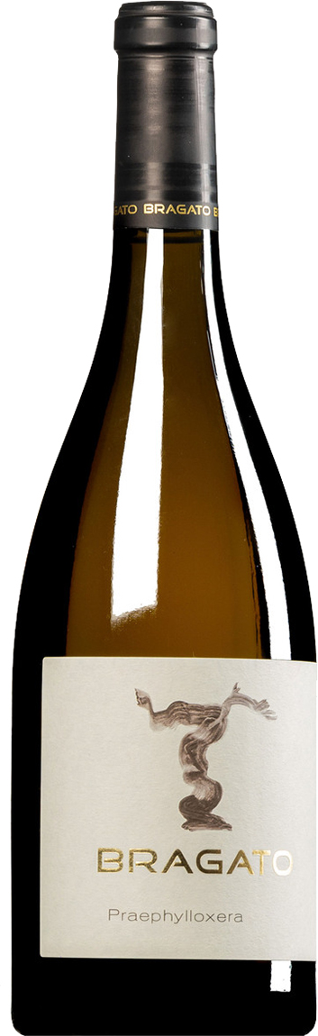 Bragato Praephylloxera | Friulano Colli Orientali del | Friuli D.O.C.