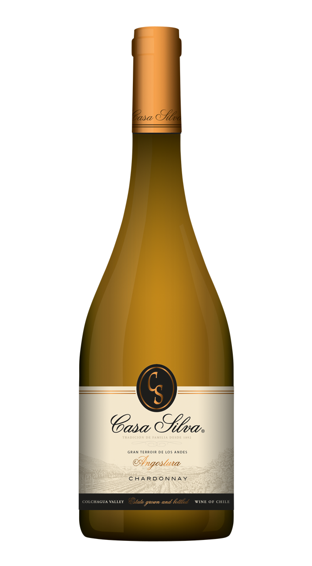 2020 Casa Silva Chardonnay Gran Terroir de los Andes Angostura Single Vineyard