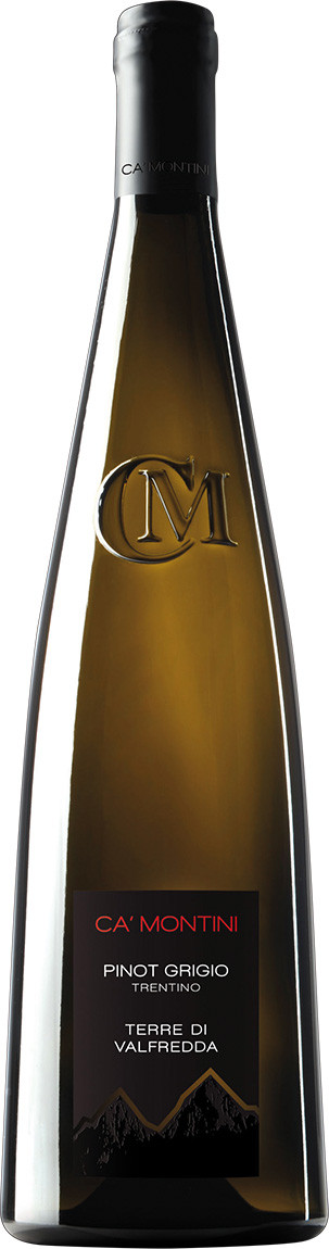 2021 Ca&#039;Montini Pinot Grigio D.O.P. !