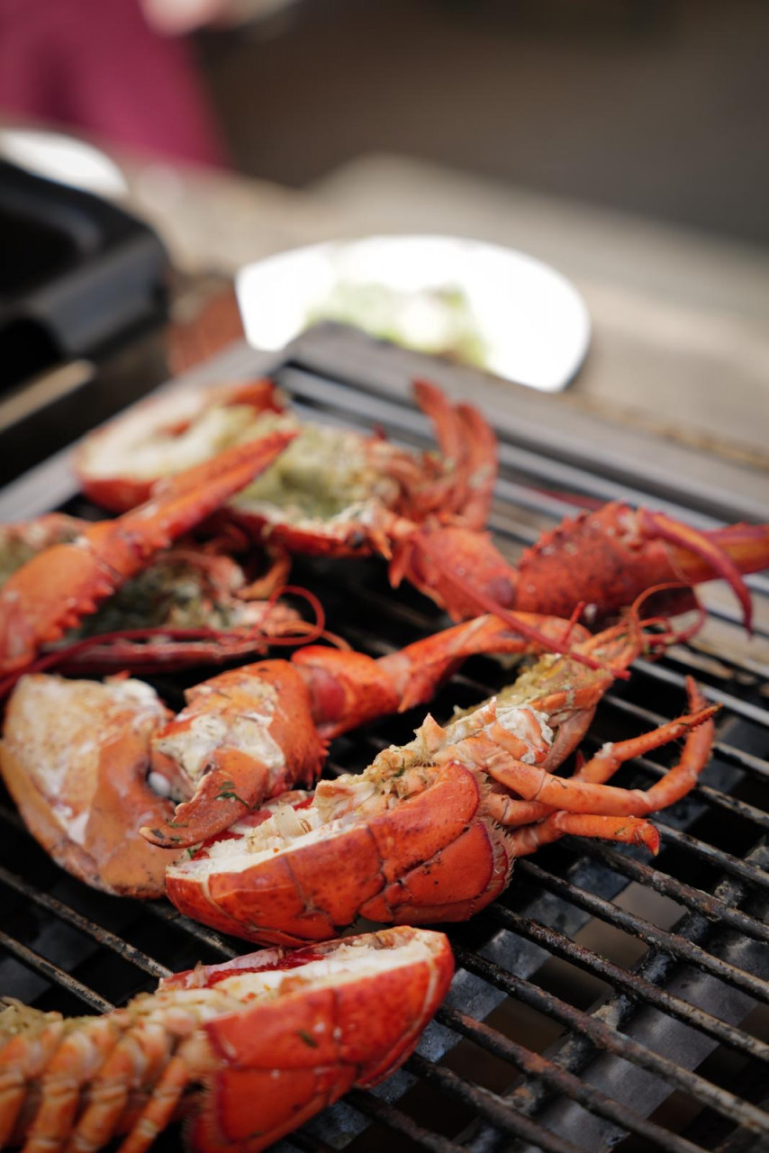 Ran an den Hummer am 29.11.25 11:00 bis 14:30 Uhr